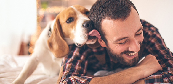 Man and dog